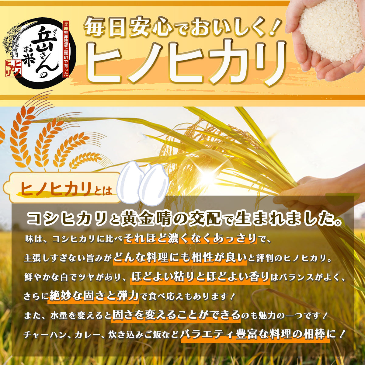 新米  白米 米 【ヒノヒカリ 2キロ】  送料無料 無農薬米 岳さんのお米