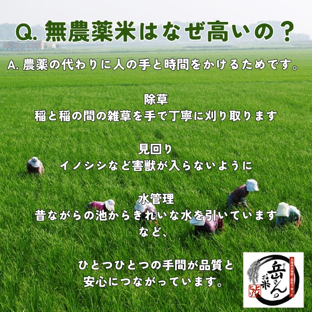 新米  白米 米 【ヒノヒカリ 2キロ】  送料無料 無農薬米 岳さんのお米