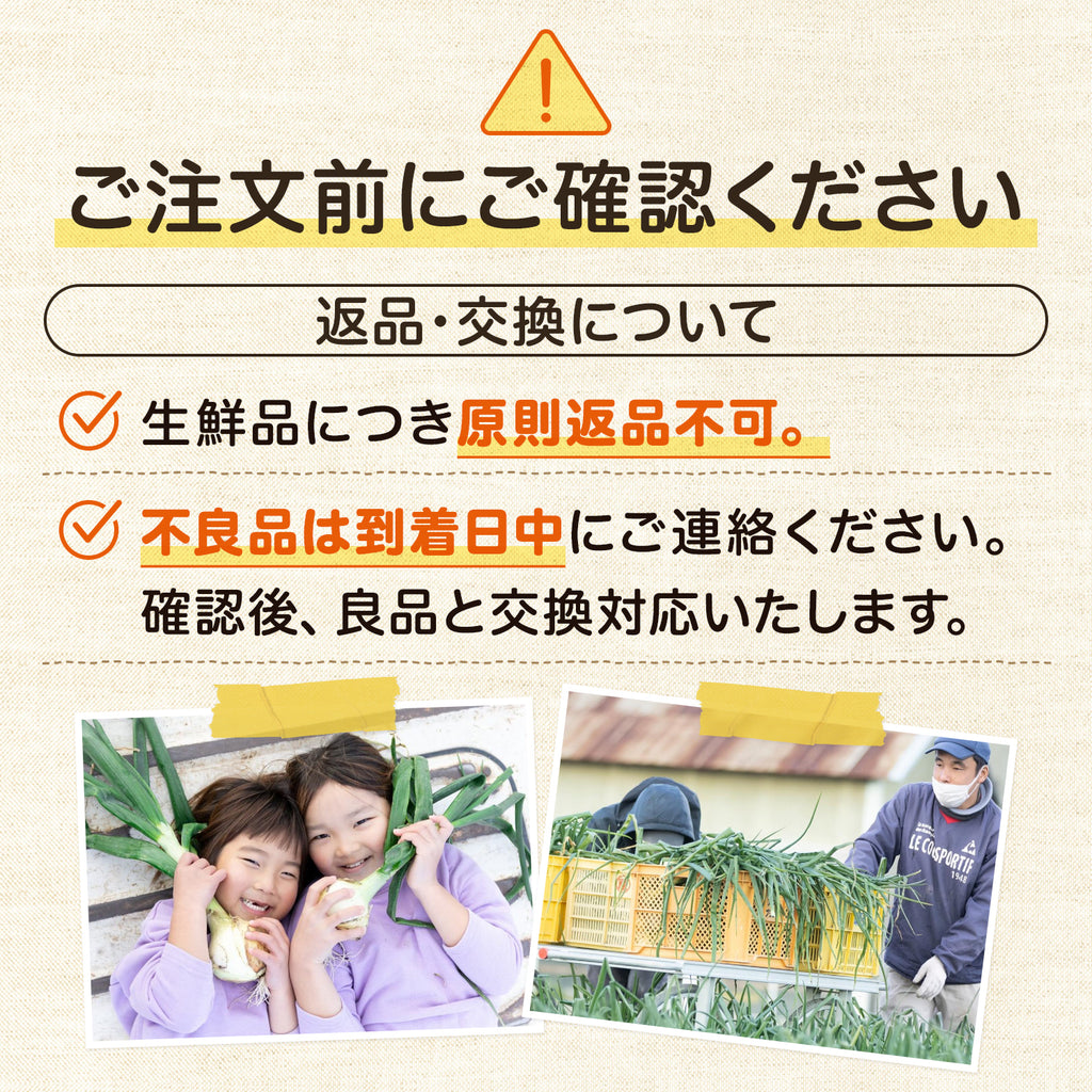 玉ねぎ まとめ買い 淡路島玉葱 ５kg 10kg 20kgたまねぎ クラフトタマネギ 送料無料 オニオン【 5kg 10kg 20kg 】