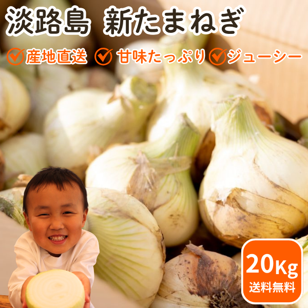 新玉ねぎ 玉ねぎ まとめ買い 淡路島玉葱 ５kg 10kg 20kgたまねぎ クラフトタマネギ 送料無料 オニオン【 5kg 10kg 20kg 】