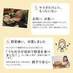 【ご自宅用 CafePalette ドレッシング ５本】  各種5本