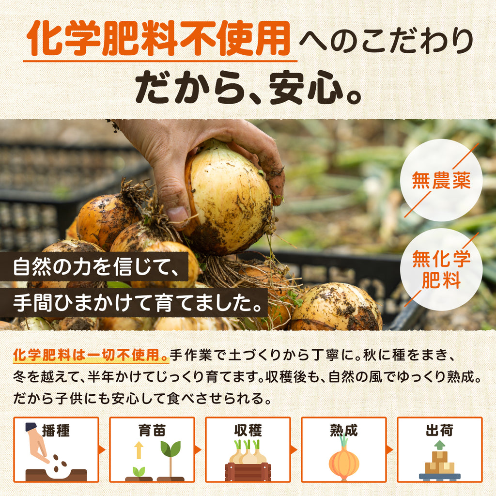 玉ねぎ まとめ買い 淡路島玉葱 ５kg 10kg 20kgたまねぎ クラフトタマネギ 送料無料 オニオン【 5kg 10kg 20kg 】