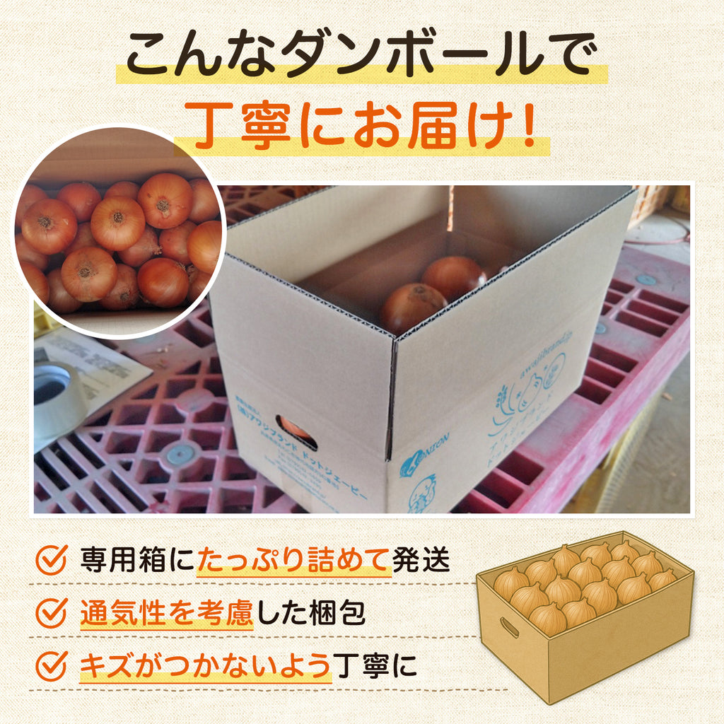 玉ねぎ まとめ買い 淡路島玉葱 ５kg 10kg 20kgたまねぎ クラフトタマネギ 送料無料 オニオン【 5kg 10kg 20kg 】