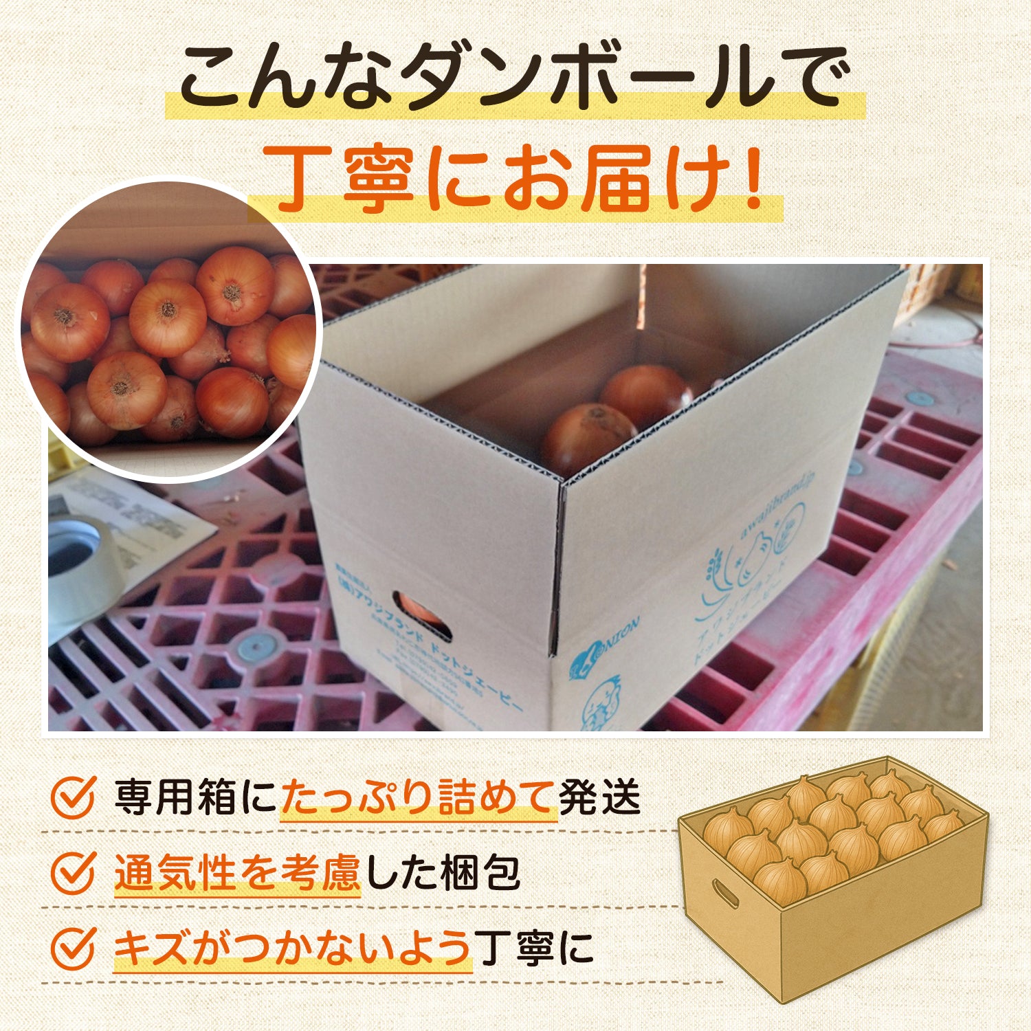 玉ねぎ まとめ買い 淡路島玉葱 ５kg 10kg 20kgたまねぎ クラフトタマネギ 送料無料 オニオン【 5kg 10kg 20kg 】