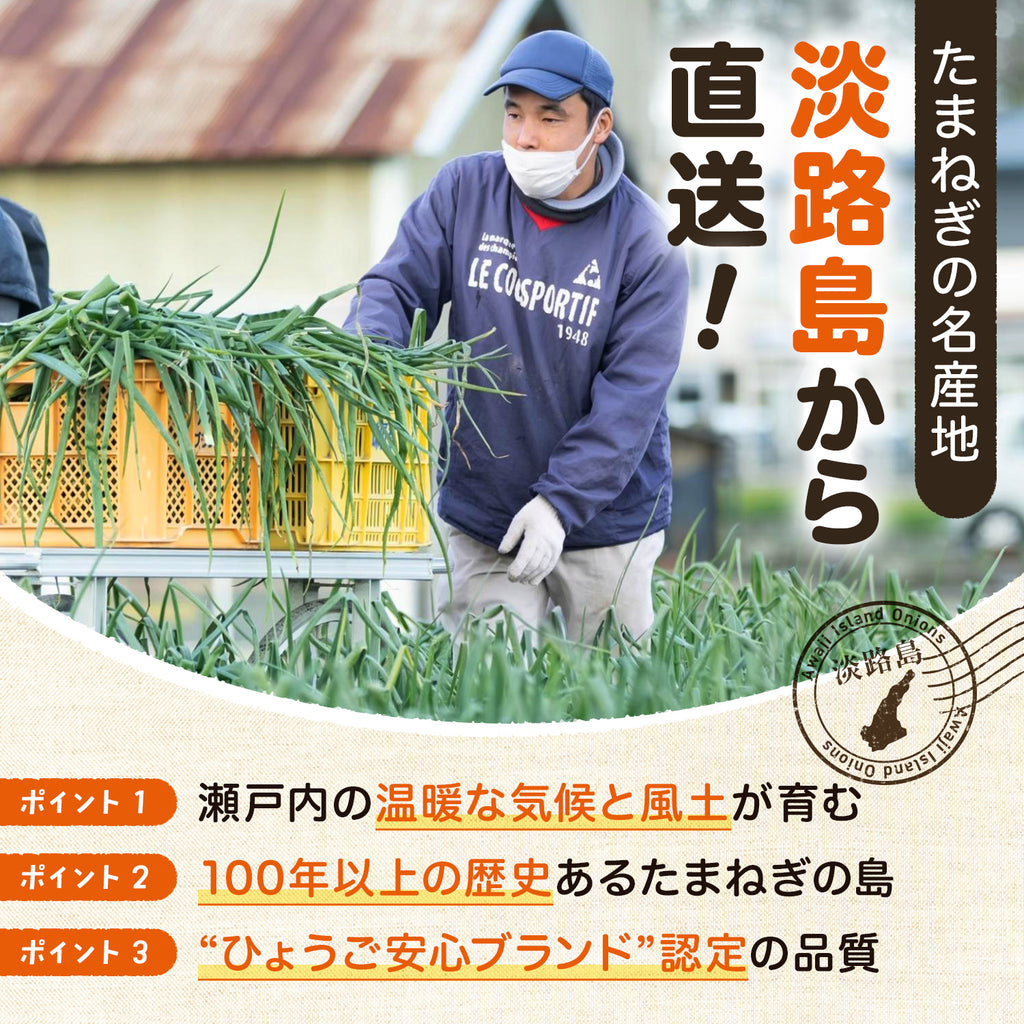玉ねぎ まとめ買い 淡路島玉葱 ５kg 10kg 20kgたまねぎ クラフトタマネギ 送料無料 オニオン【 5kg 10kg 20kg 】