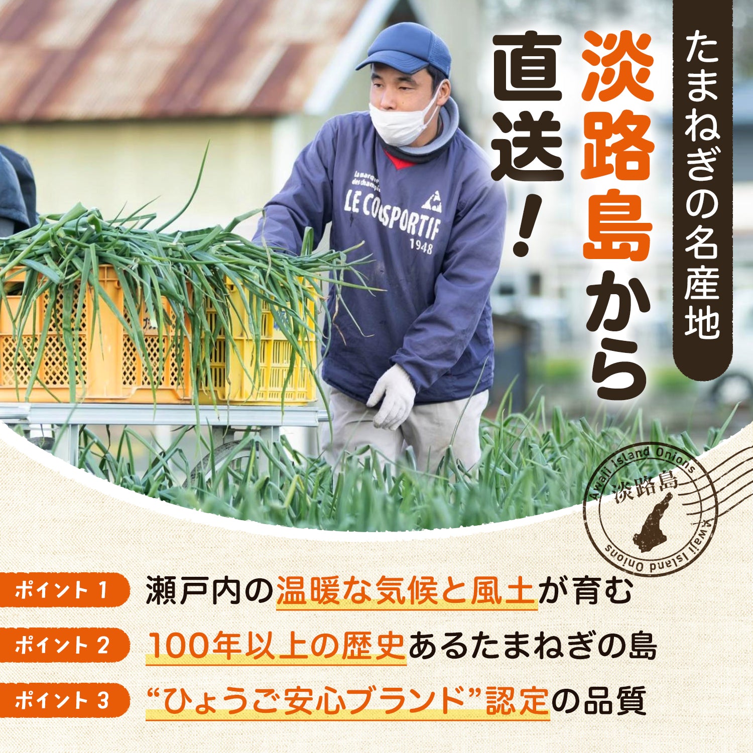玉ねぎ まとめ買い 淡路島玉葱 ５kg 10kg 20kgたまねぎ クラフトタマネギ 送料無料 オニオン【 5kg 10kg 20kg 】