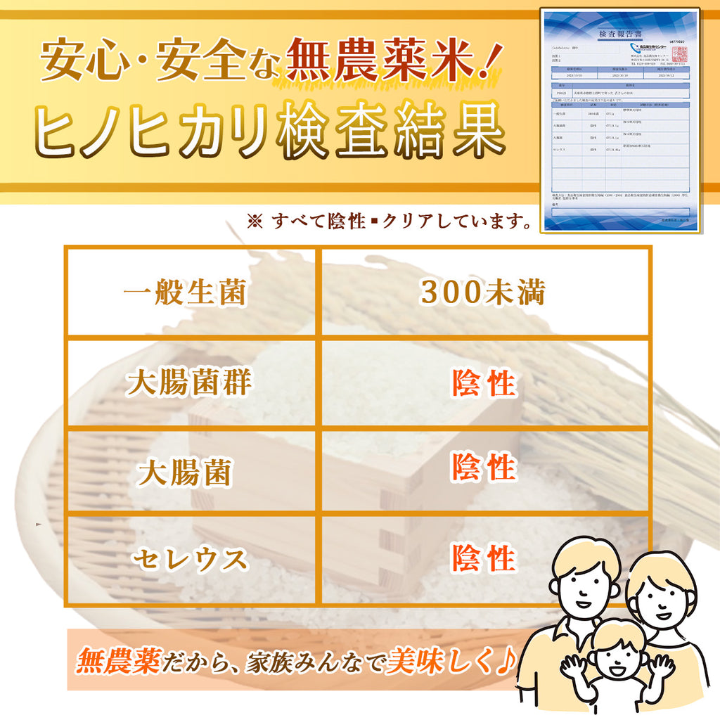 新米  白米 米 【ヒノヒカリ 2キロ】  送料無料 無農薬米 岳さんのお米