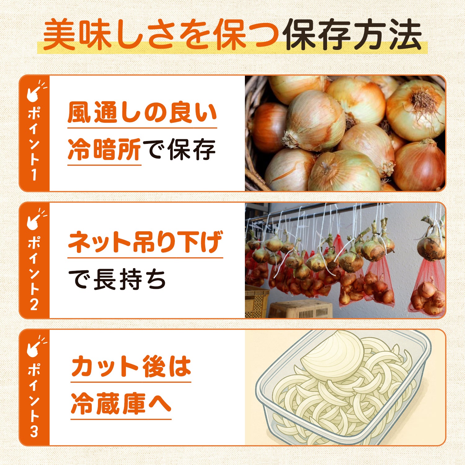 玉ねぎ まとめ買い 淡路島玉葱 ５kg 10kg 20kgたまねぎ クラフトタマネギ 送料無料 オニオン【 5kg 10kg 20kg 】