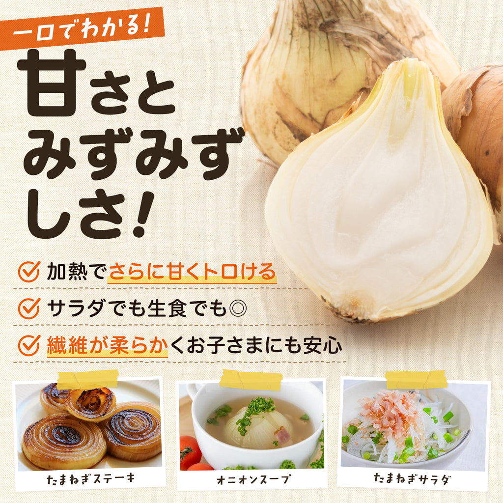 玉ねぎ まとめ買い 淡路島玉葱 ５kg 10kg 20kgたまねぎ クラフトタマネギ 送料無料 オニオン【 5kg 10kg 20kg 】